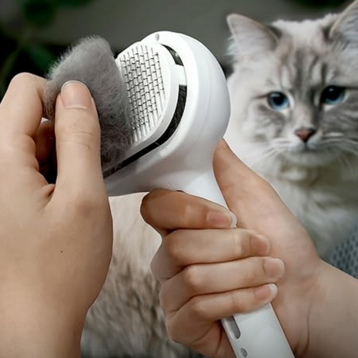 LuvaPets™ - Spazzola Spray
